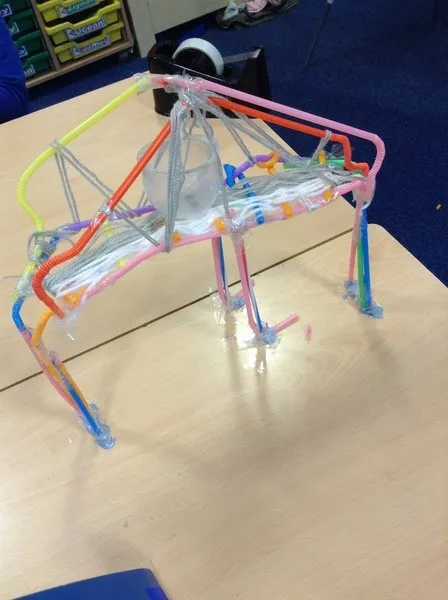 Curriculum - STEM - image 1 Curriculum - STEM - image 1