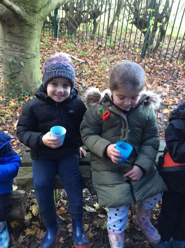 Gallery - created at 2023-03-03 13:08:07 - image 2