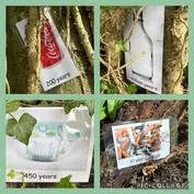 Forest School 39 - image 3 Forest School 39 - image 3