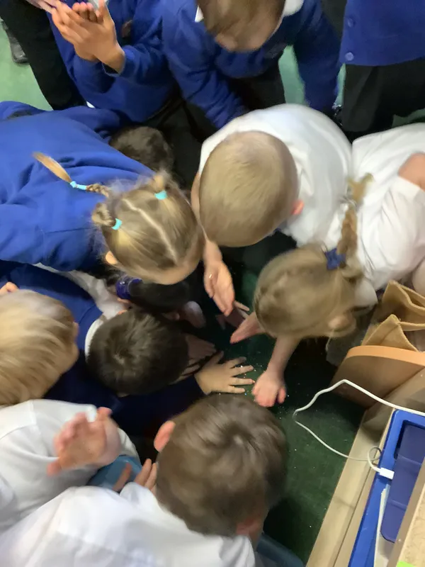 SC Alfies star  - image 1