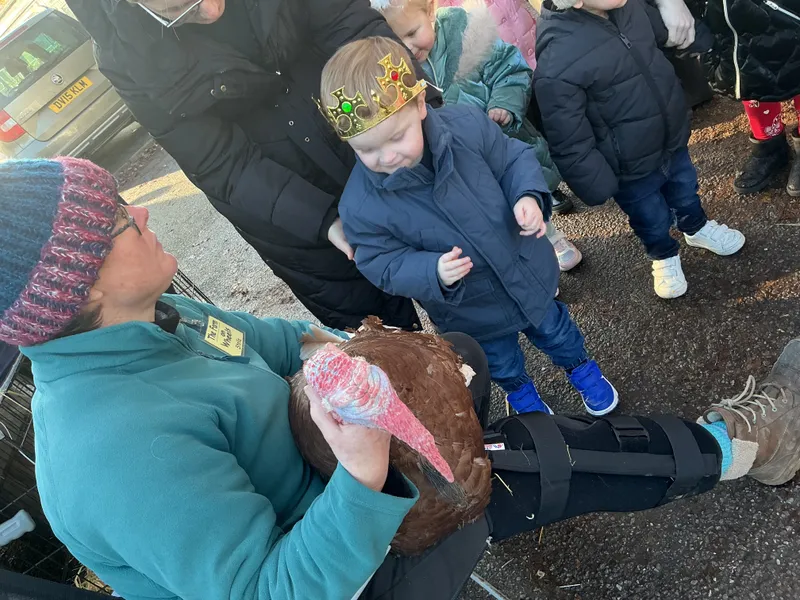 Stella farm on wheels Part 1 - image 3