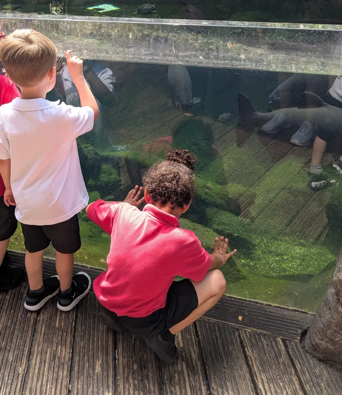 FS Bristol Aquarium visit - image 3