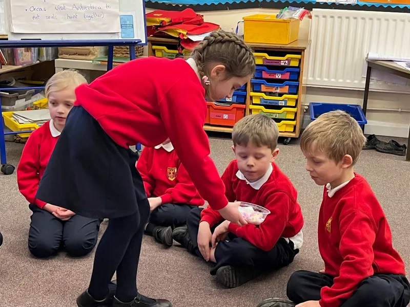 Gallery - created at 2023-01-20 13:09:55 - image 2