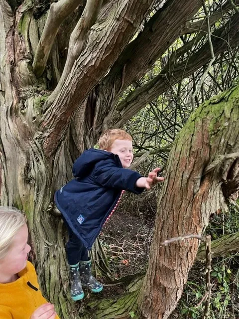 Gallery - created at 2022-11-08 12:34:18 - image 6