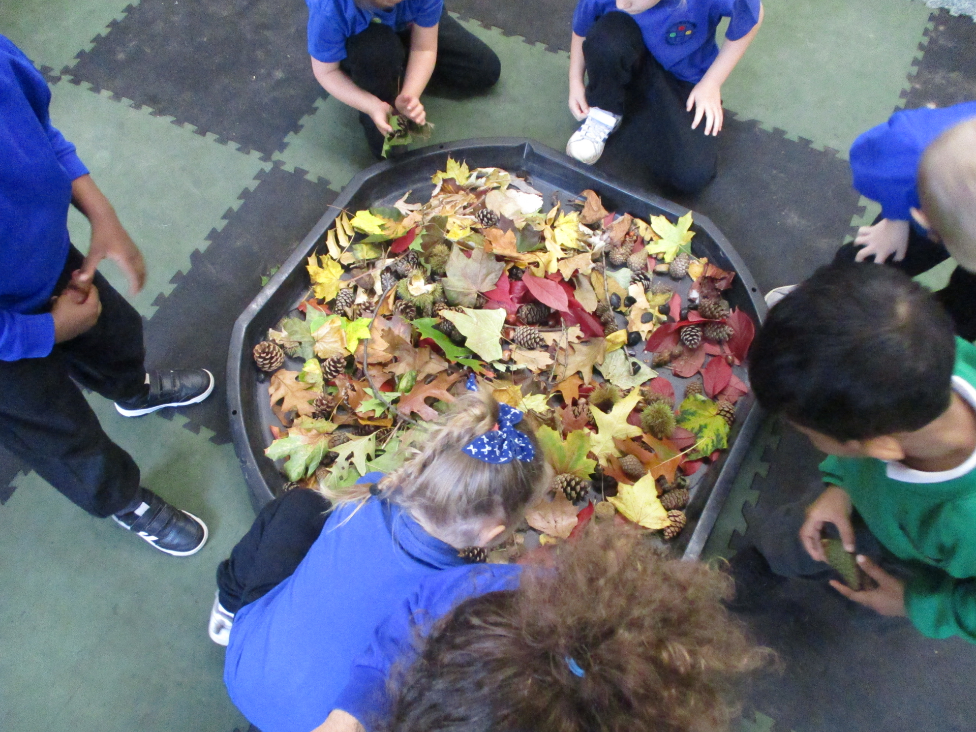 Autumn Fun in Reception