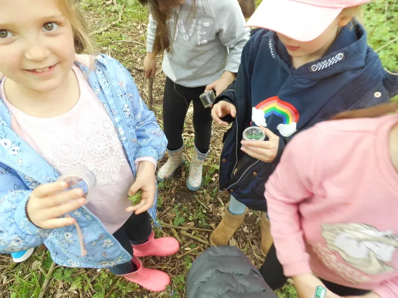 Gallery - created at 2019-05-10 14:05:52 - image 11