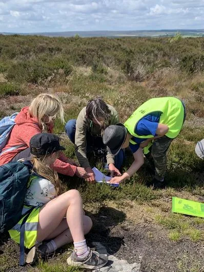 Summer 2023 - 21st June - Oaks - Stoupe Brow Moorland Walk - wildlife, map work (National Parks) - image 8 Summer 2023 - 21st June - Oaks - Stoupe Brow Moorland Walk - wildlife, map work (National Parks) - image 8