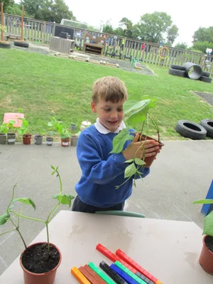 Giant Beanstalks - image 22