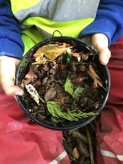 Autumn 2022 - September 21st - Acorns - Changing Properties of Materials and Magic Woodland Porridge - image 1 Autumn 2022 - September 21st - Acorns - Changing Properties of Materials and Magic Woodland Porridge - image 1