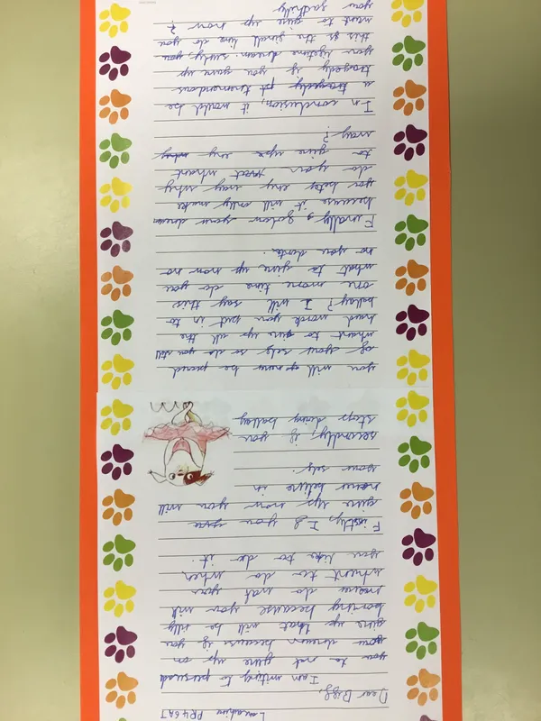 Gallery - created at 2020-11-27 16:24:52 - image 1 Gallery - created at 2020-11-27 16:24:52 - image 1