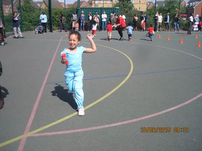 Gallery - image 12