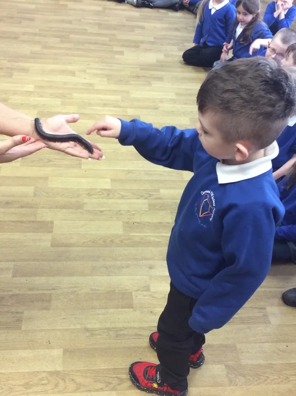 Gallery - created at 2024-03-05 13:52:56 - image 57 Gallery - created at 2024-03-05 13:52:56 - image 57