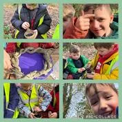Forest School 15 - image 2 Forest School 15 - image 2
