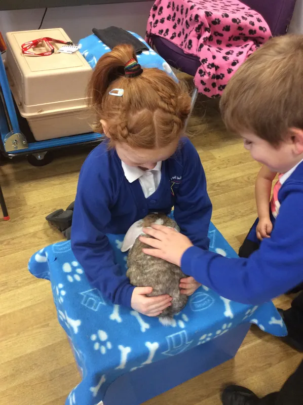 Gallery - created at 2024-03-05 13:52:56 - image 69 Gallery - created at 2024-03-05 13:52:56 - image 69