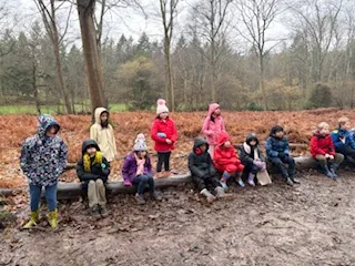 Day 2 more - image 33