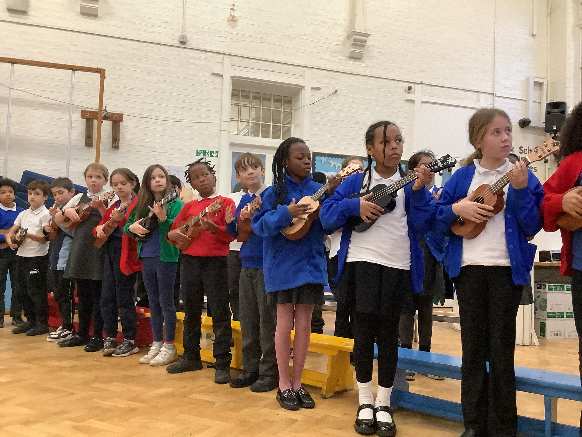 Year 5 - Ukulele concert