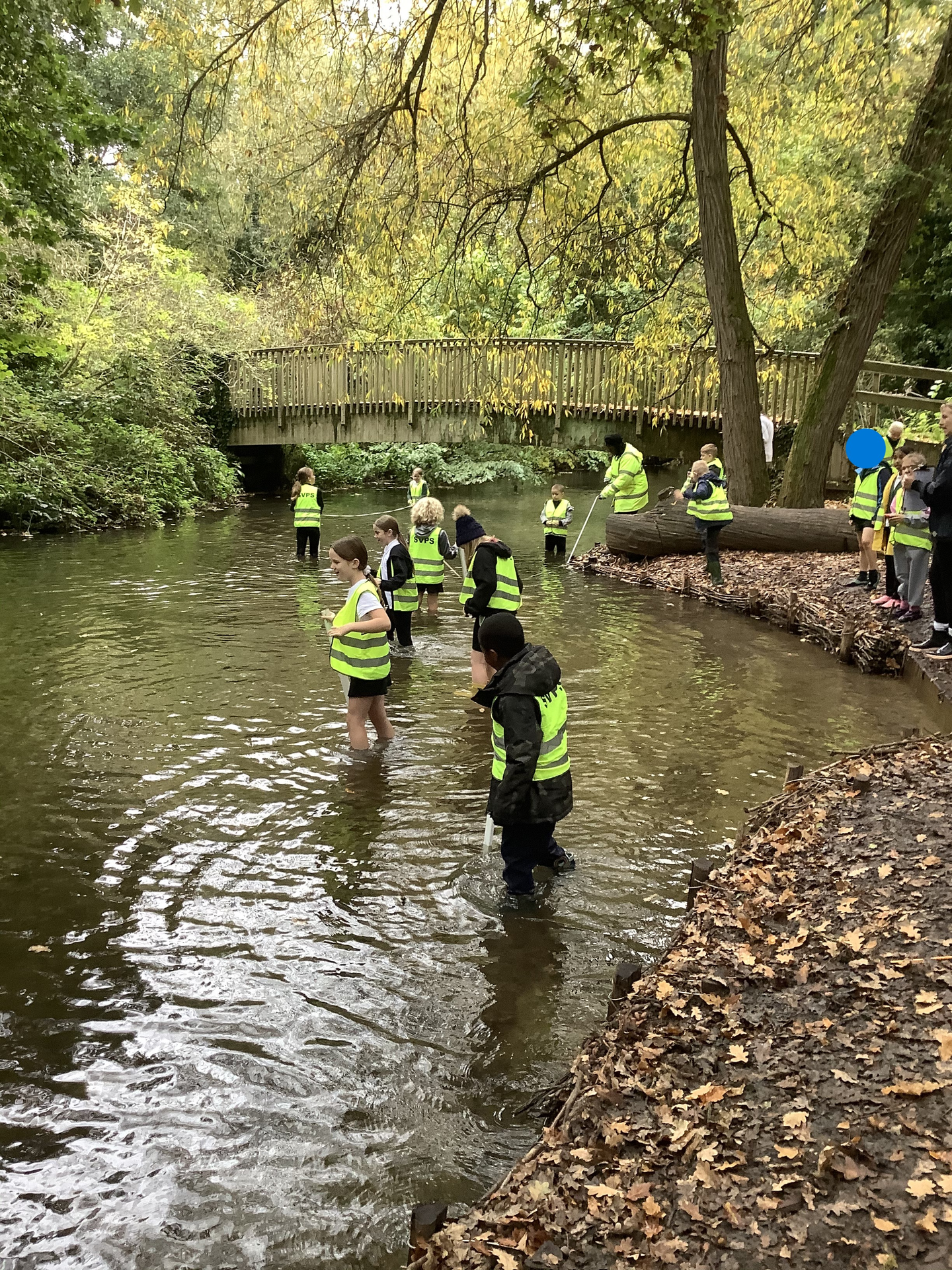 Year 4- Lullingstone Country Park Trip