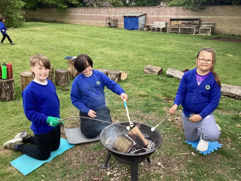 Forest Schools Class 4 - image 25