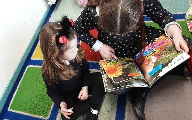 Gallery 3 - image 4 Gallery 3 - image 4