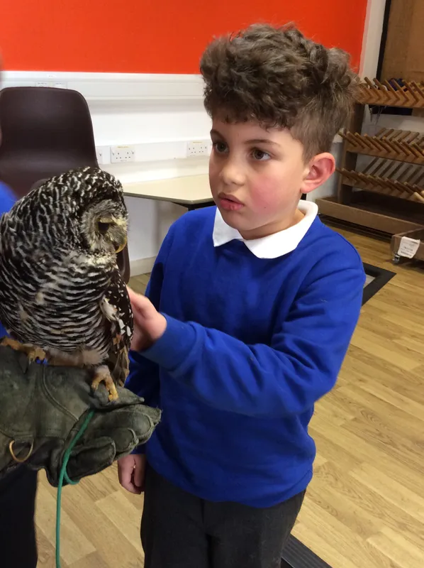 Gallery - created at 2024-02-26 17:15:57 - image 17 Gallery - created at 2024-02-26 17:15:57 - image 17