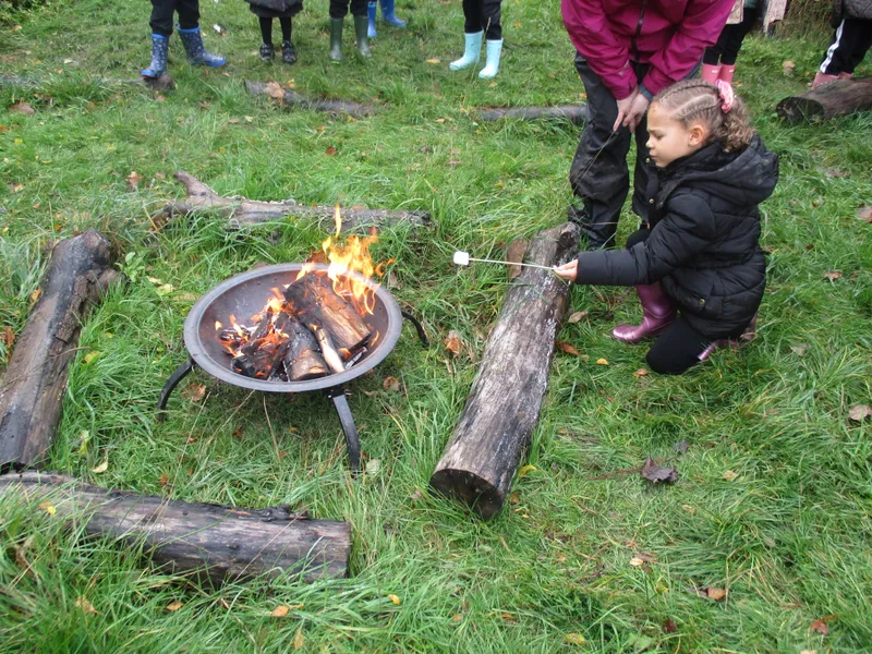 Forest School Fun Year 1 - image 18 Forest School Fun Year 1 - image 18