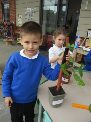 Giant Beanstalks - image 19