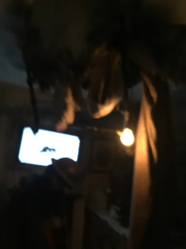 Eden camp 23rd Sept 2025 - image 98