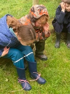 Wrens enjoying knot tying, tree identification and art during Forest school - image 6 Wrens enjoying knot tying, tree identification and art during Forest school - image 6
