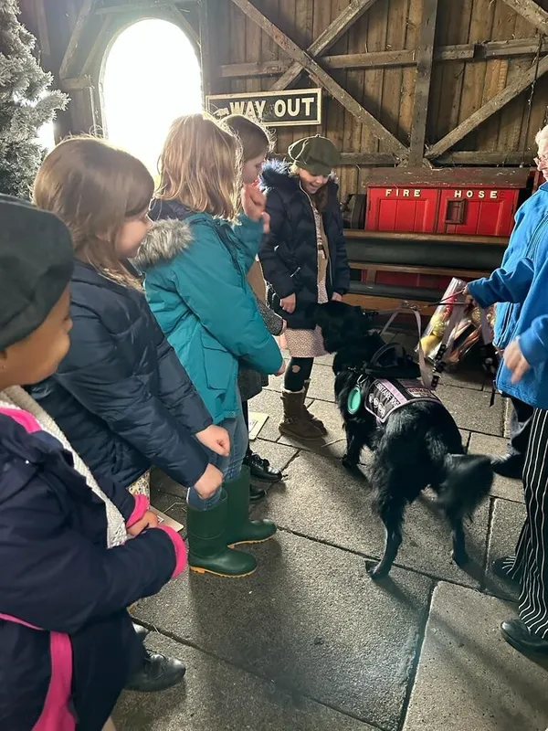 Gallery - created at 2023-11-22 16:59:04 - image 42