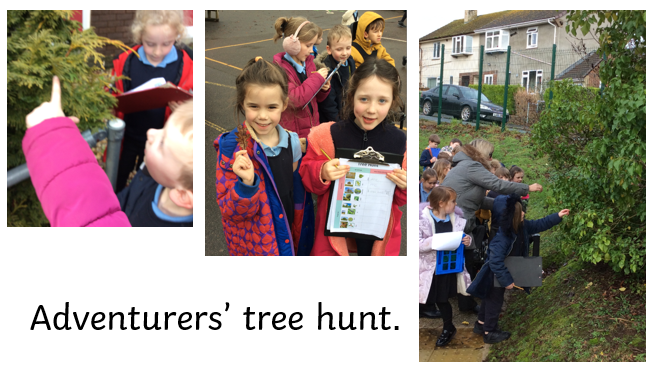 Adventurers are going on a tree hunt!