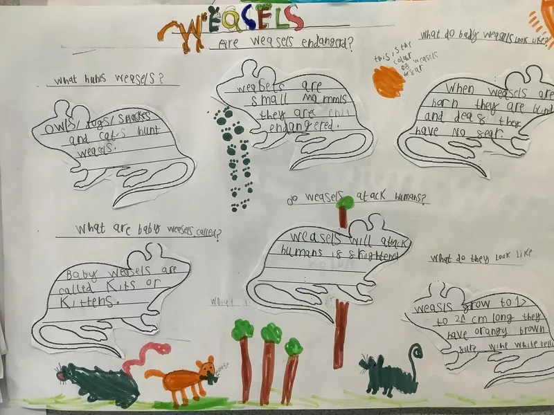 Gallery - image 6 Gallery - image 6