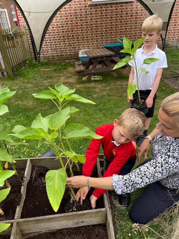 Gallery - created at 2023-06-30 12:23:52 - image 2