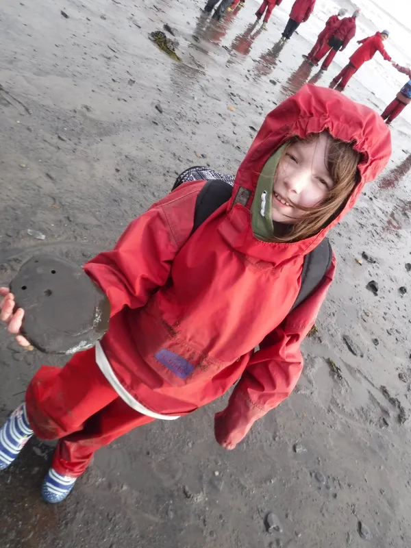 Gallery - created at 2019-01-15 15:12:58 - image 20