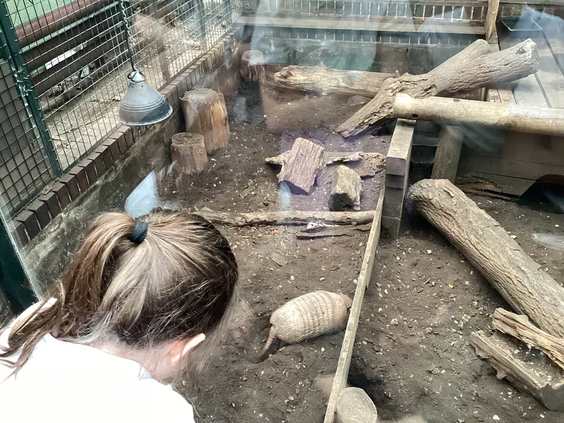 Gallery - created at 2025-03-14 10:11:21 - image 18 Gallery - created at 2025-03-14 10:11:21 - image 18