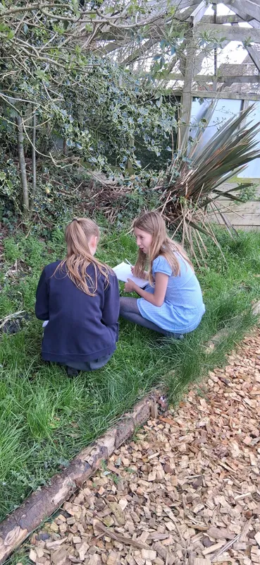 y6 active learning - image 21