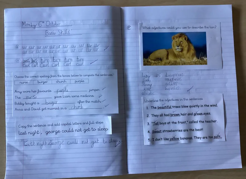 Gallery - created at 2025-10-07 20:06:11 - image 1 Gallery - created at 2025-10-07 20:06:11 - image 1