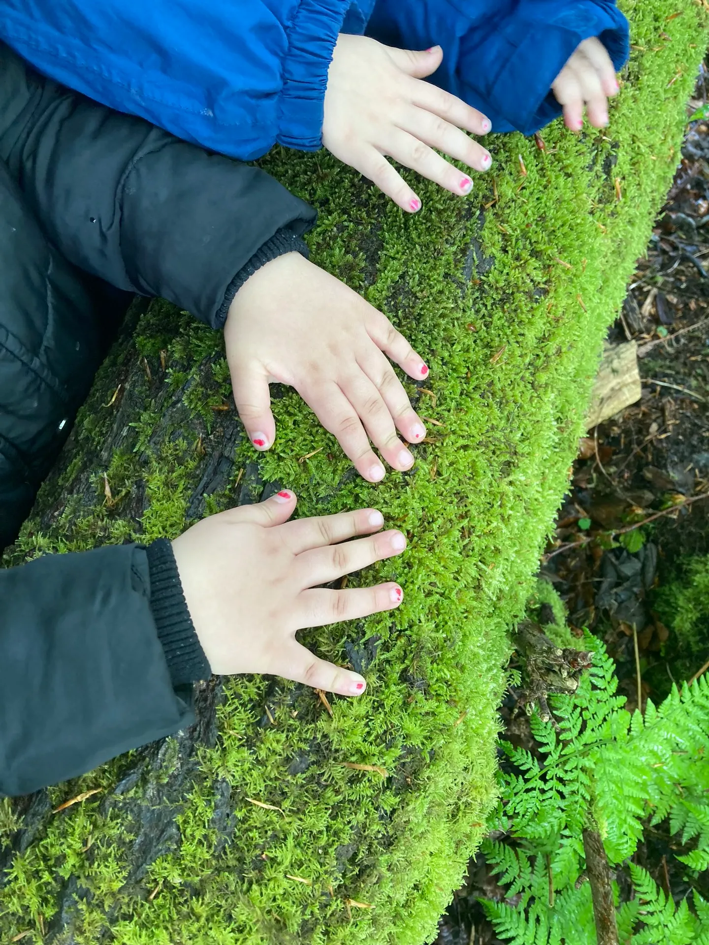 Healey Dell - image 6
