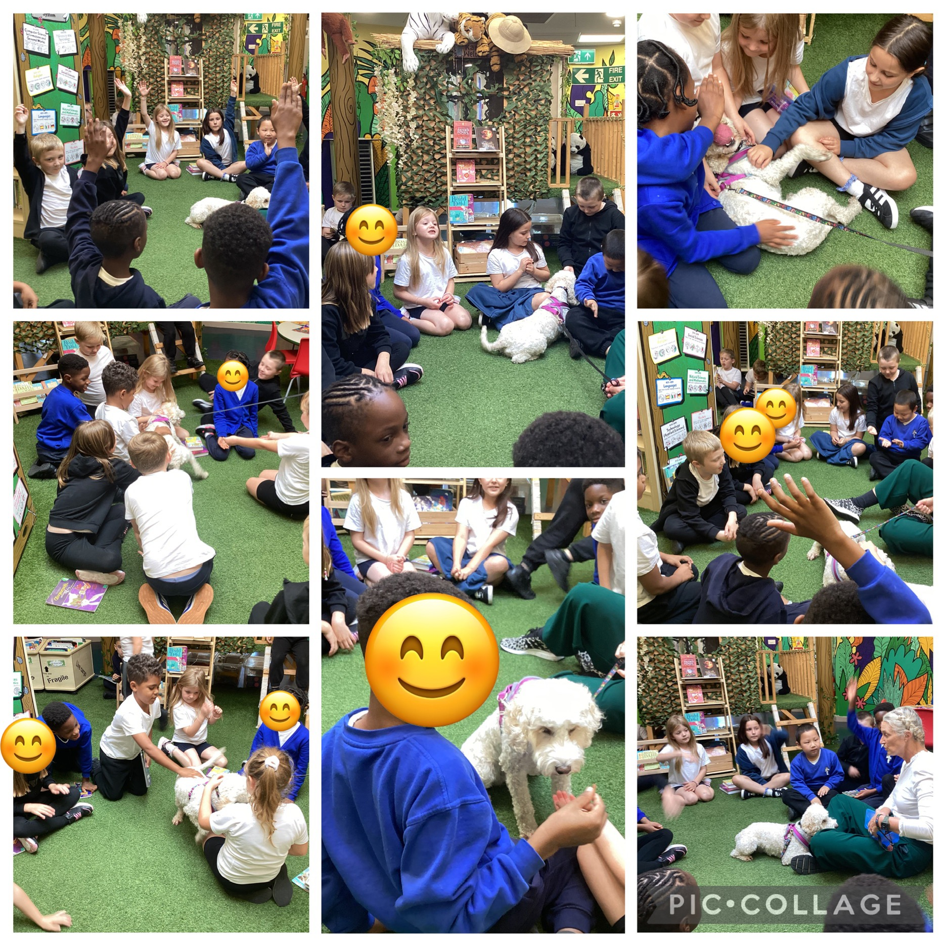 Y3 were very lucky to have Maggie come and visit us in the library. We were able to give her treats, ask her to follow simple instructions and give her lots of fuss!