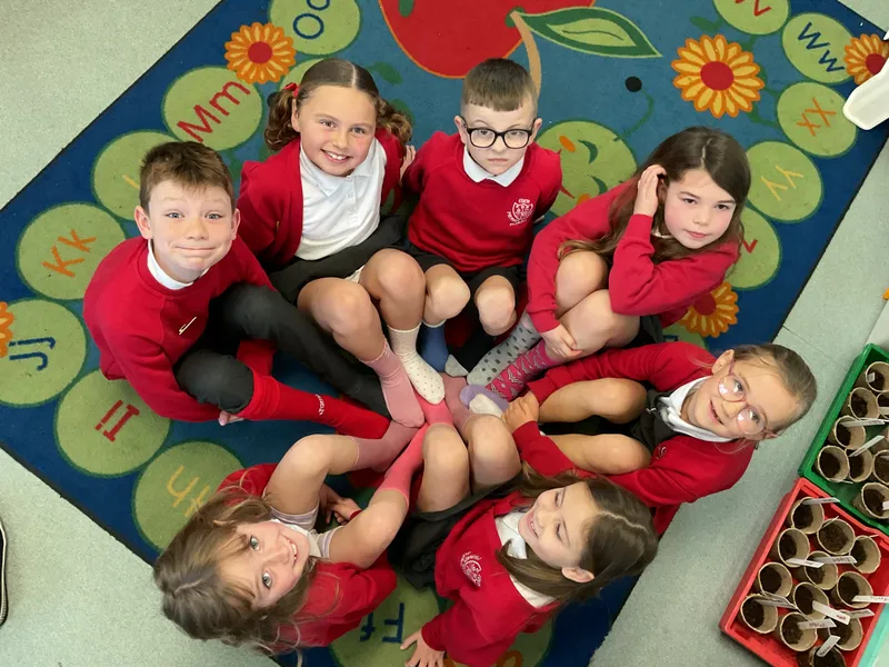 Odd Sock Day - November 2025 - image 5