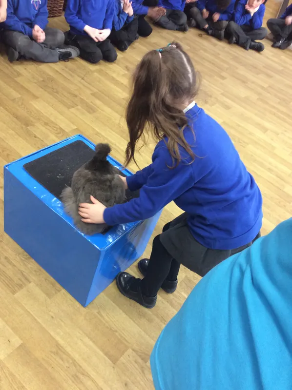 Gallery - created at 2024-03-05 13:52:56 - image 54 Gallery - created at 2024-03-05 13:52:56 - image 54