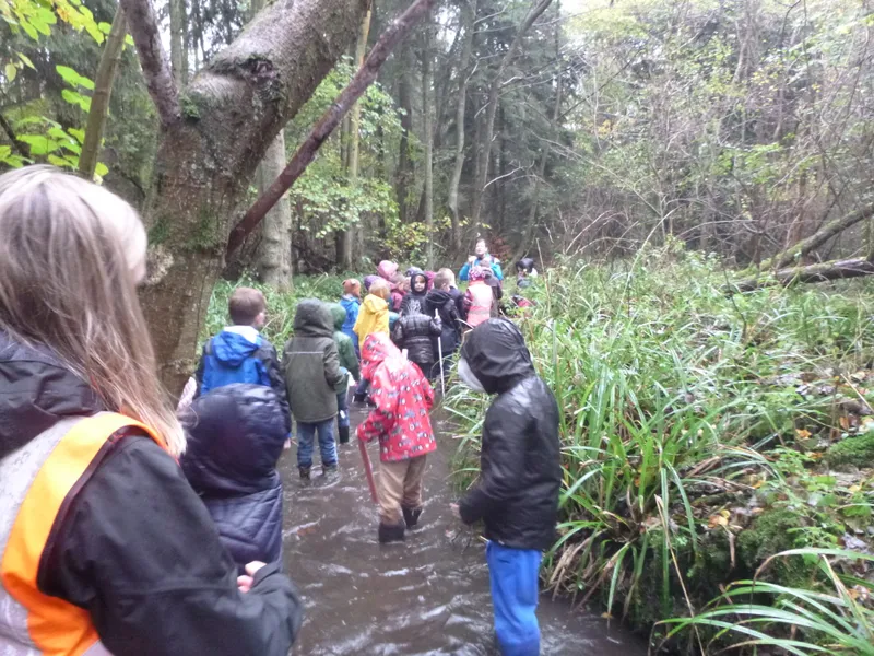 Gallery - created at 2019-12-16 15:12:33 - image 10