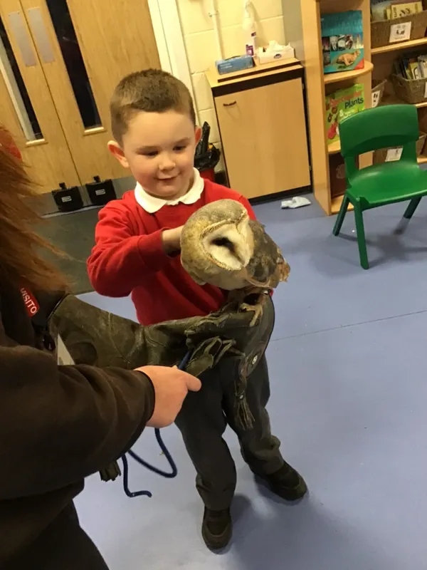 birds of prey year 1 25 - image 12 birds of prey year 1 25 - image 12