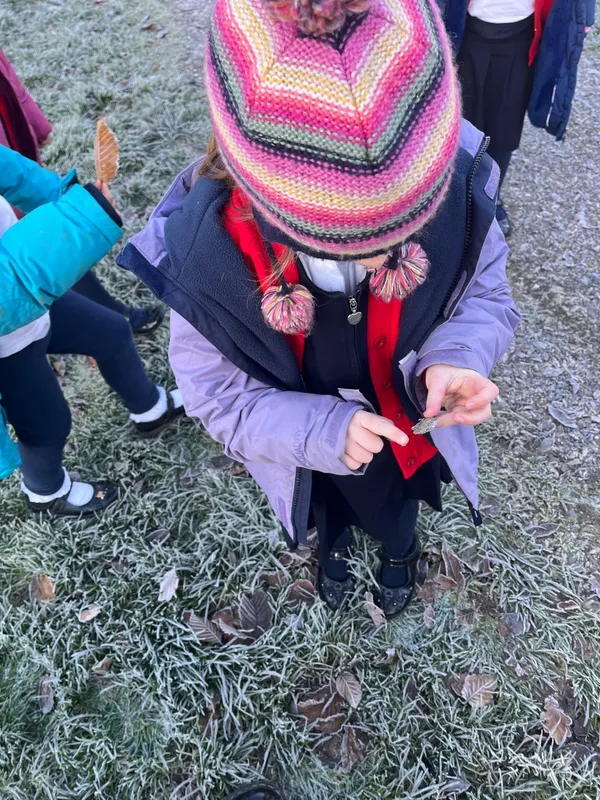 Gallery - created at 2023-12-01 11:42:27 - image 2