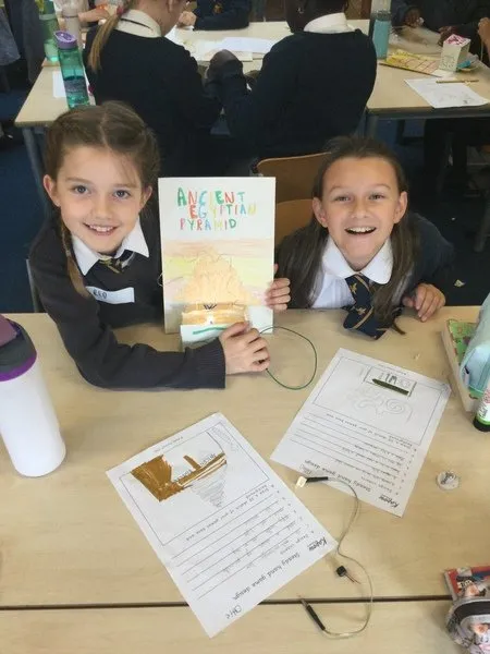 Robins - image 1 Robins - image 1