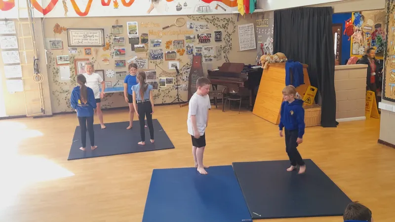 Ospreys have been learning about mirroring and matching in gymnastics - image 11 Ospreys have been learning about mirroring and matching in gymnastics - image 11