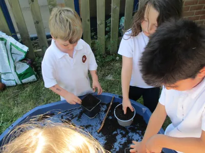Planting - image 9