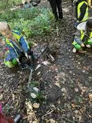 Forest School 91 - image 3 Forest School 91 - image 3
