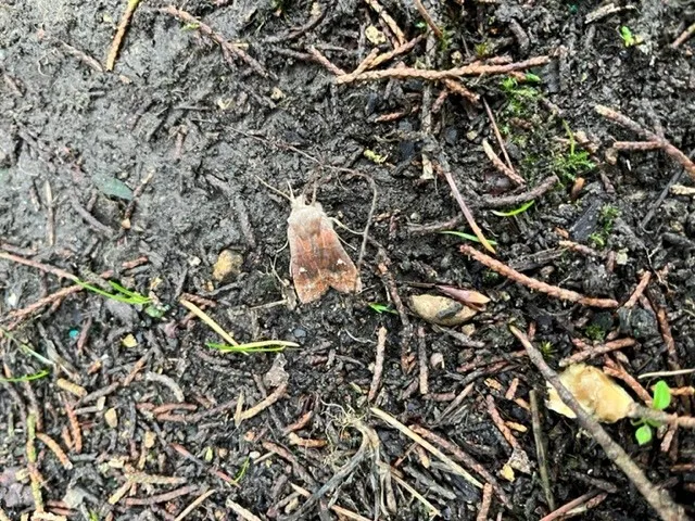 Gallery - created at 2022-11-08 12:34:18 - image 5