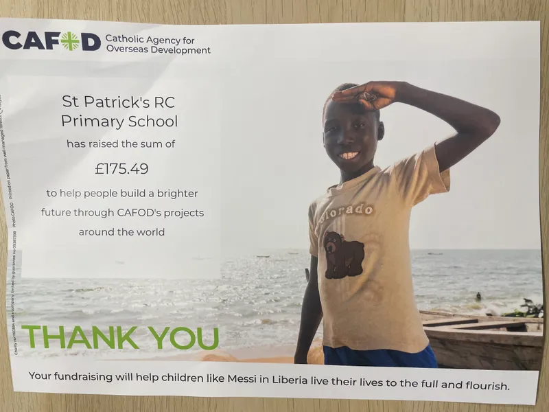 Gallery - created at 2024-11-30 20:42:41 - image 1 Gallery - created at 2024-11-30 20:42:41 - image 1