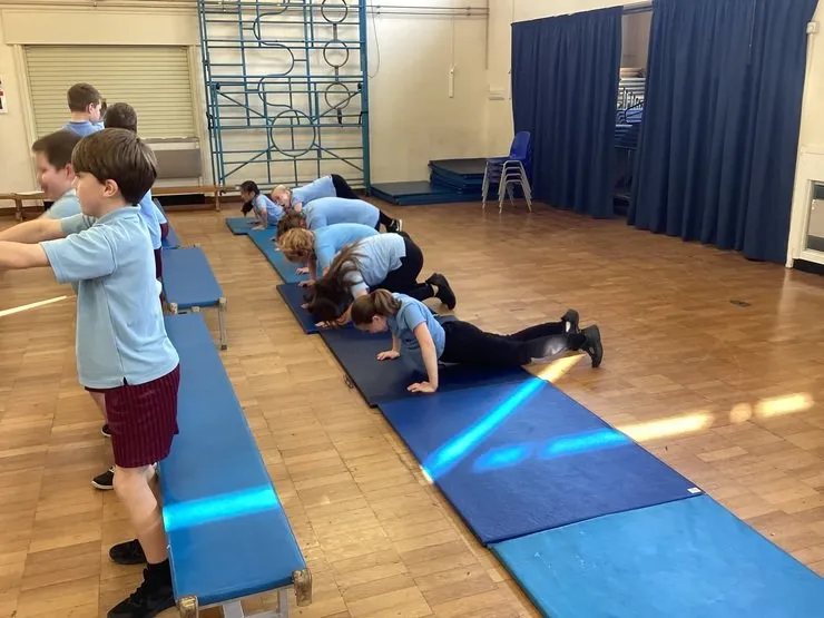 Year 5 - image 3 Year 5 - image 3